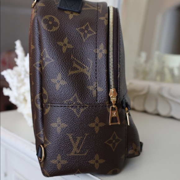 Louis Vuitton Palm Springs Mini Backpack - Picture 3 of 13
